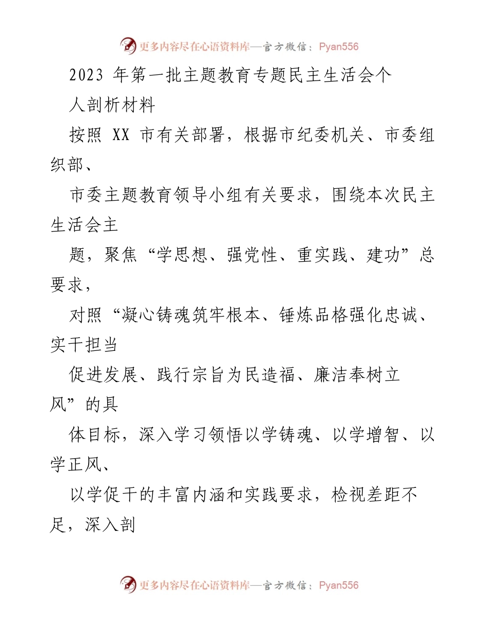 [发言] 民主生活会 - 2023年第一批主题教育专题民主生活会个人剖析材料.docx_第1页