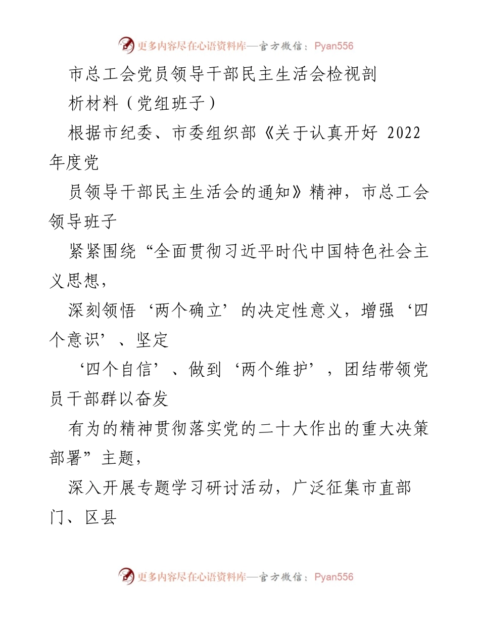 [发言] 民主生活会 - 市总工会党员领导干部民主生活会检视剖析材料总结.docx_第1页