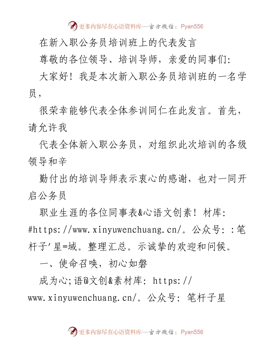 [发言] 新入职公务员培训班 - 新时代公务员的使命与担当.docx_第1页