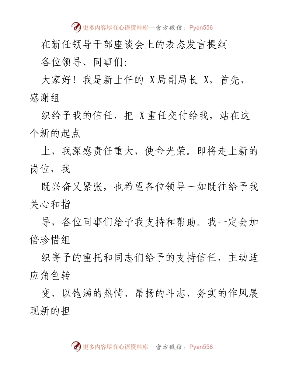 [发言] 新任领导干部座谈会 - 新任副局长的责任与担当表态发言提纲.docx_第1页