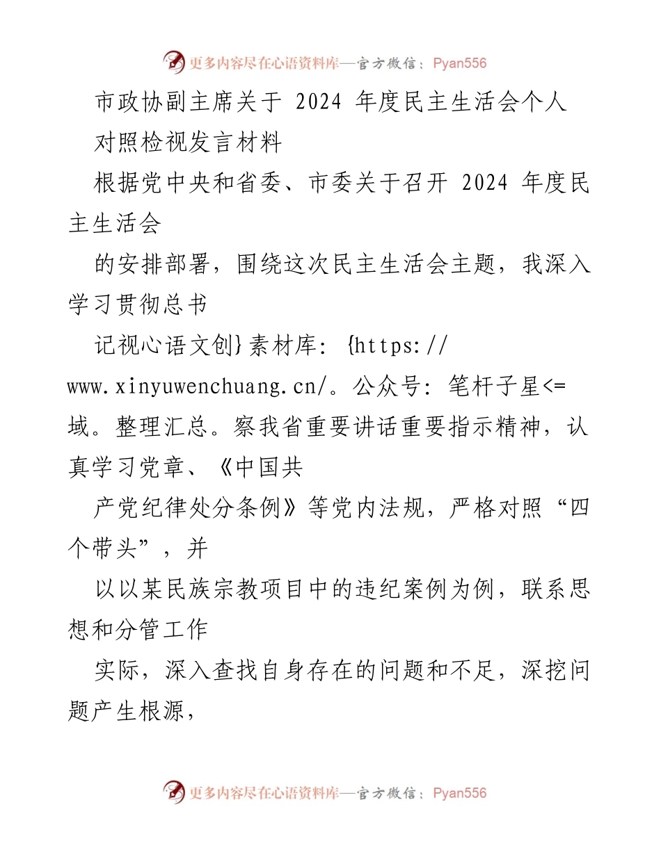 [发言] 民主生活会 - 市政协副主席2024年度民主生活会个人对照检视发言材料.docx_第1页