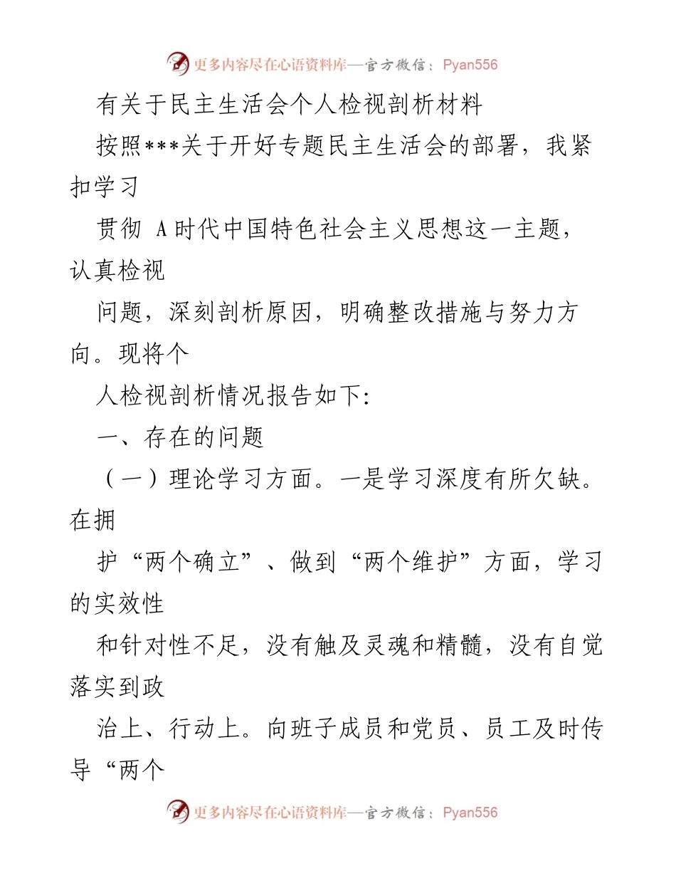[发言] 民主生活会 - 个人检视与剖析报告.docx_第1页