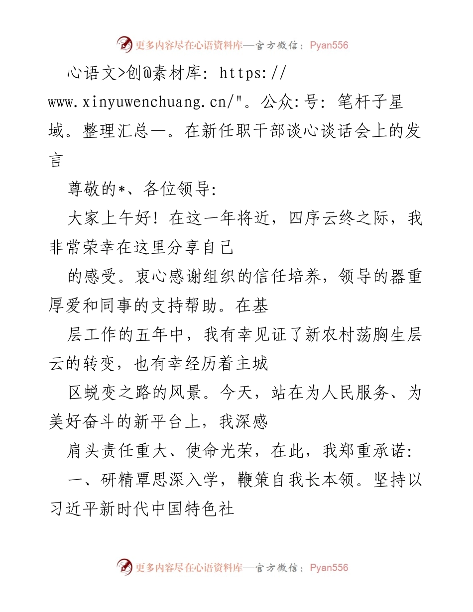 [发言] 新任职干部谈心谈话会 - 新任职干部的责任与使命承诺.docx_第1页
