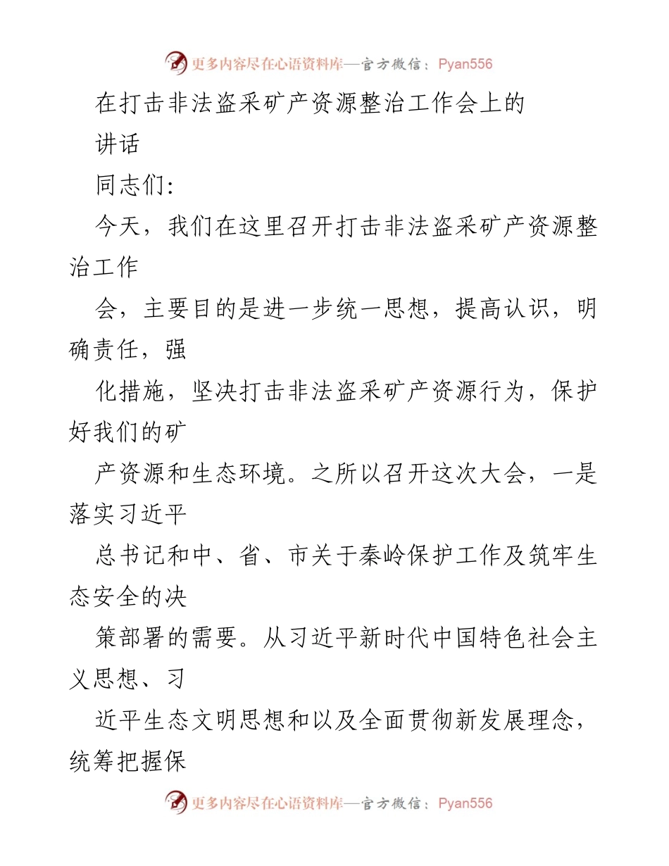 [发言] 整治工作会 - 加强非法盗采矿产资源整治，保护生态安全.docx_第1页