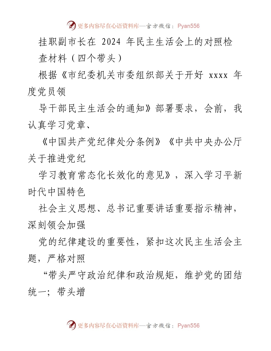 [发言] 民主生活会 - 挂职副市长2024年民主生活会对照检查材料.docx_第1页