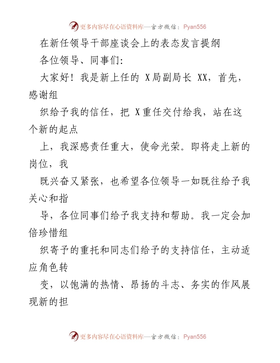 [发言] 新任领导干部座谈会 - 新任副局长的责任与承诺.docx_第1页