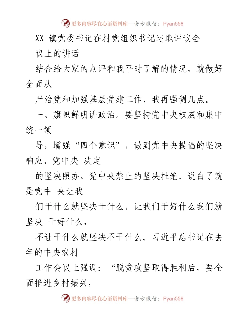 [发言] 村党组织书记述职评议会 - 加强基层党建工作，推动乡村振兴的实践与责任.docx_第1页