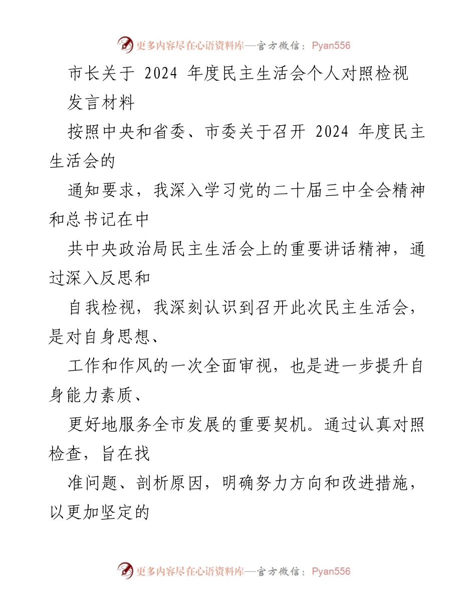 [发言] 民主生活会 - 市长2024年度个人对照检视发言材料.docx_第1页