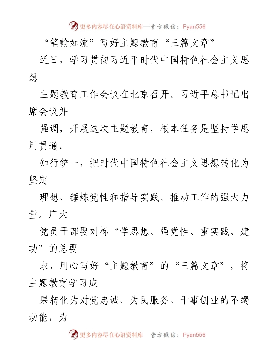 [发言] 深入学习习近平新时代中国特色社会主义思想，写好主题教育“三篇文章”.docx_第1页