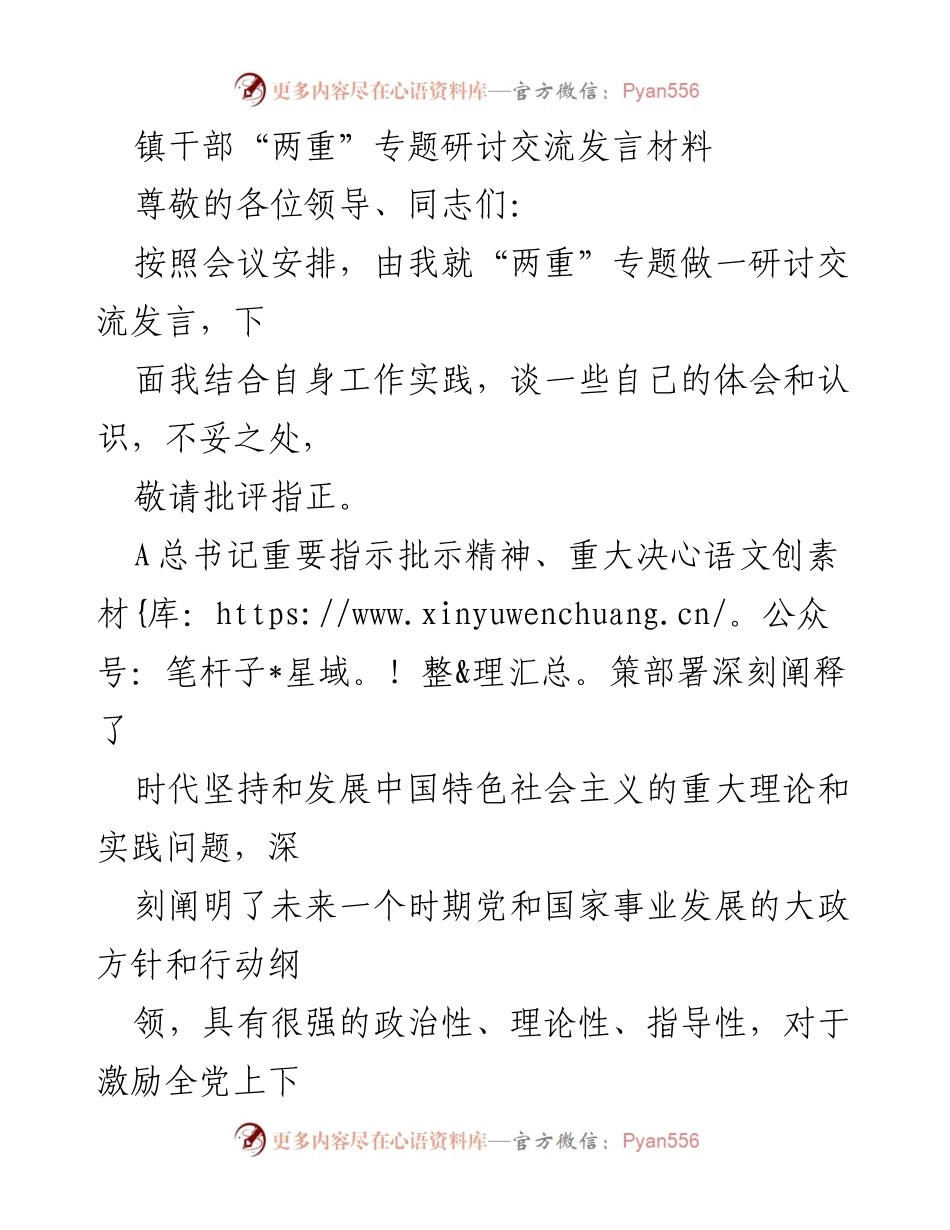 [发言] 研讨会 - 深刻理解和落实A总书记重要指示精神的责任与担当.docx_第1页