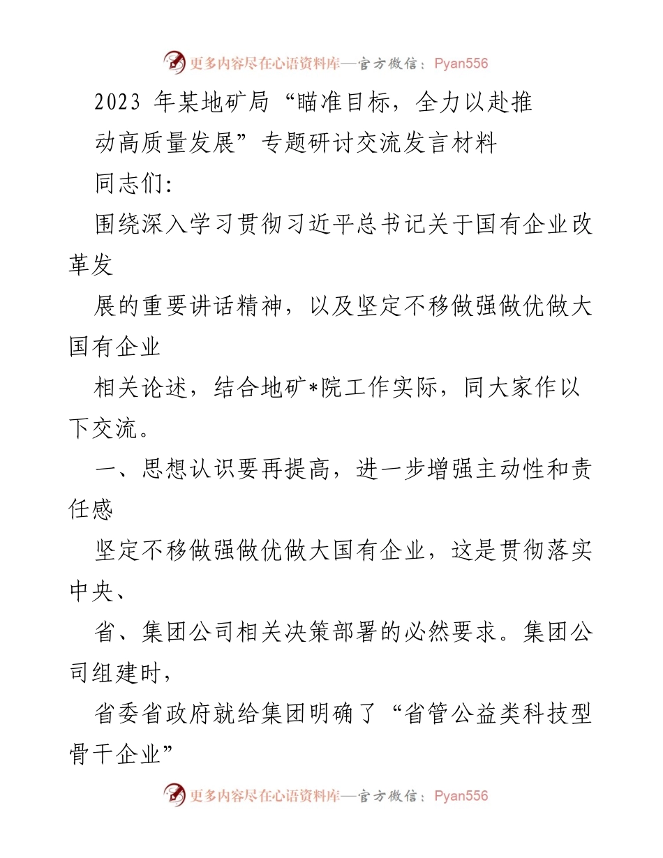 [发言] 研讨会 - 深化改革，推动高质量发展：地矿局的责任与使命.docx_第1页