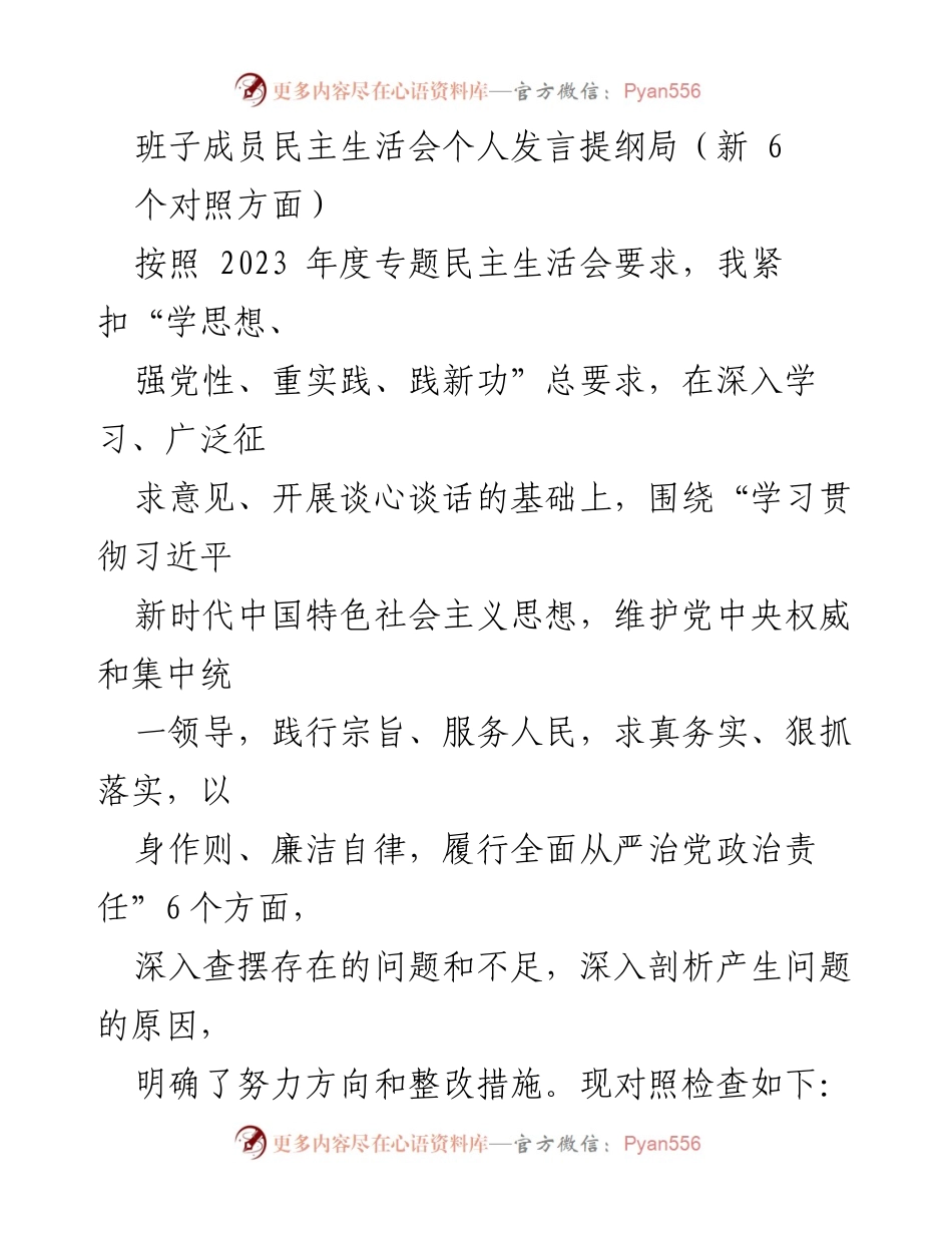 [发言] 民主生活会 - 班子成员个人发言提纲及整改措施总结.docx_第1页