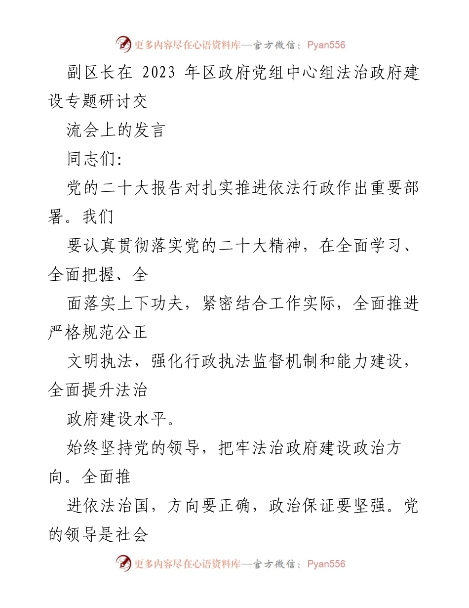 [发言] 研讨交流会 - 加强法治政府建设，保障人民权益.docx_第1页