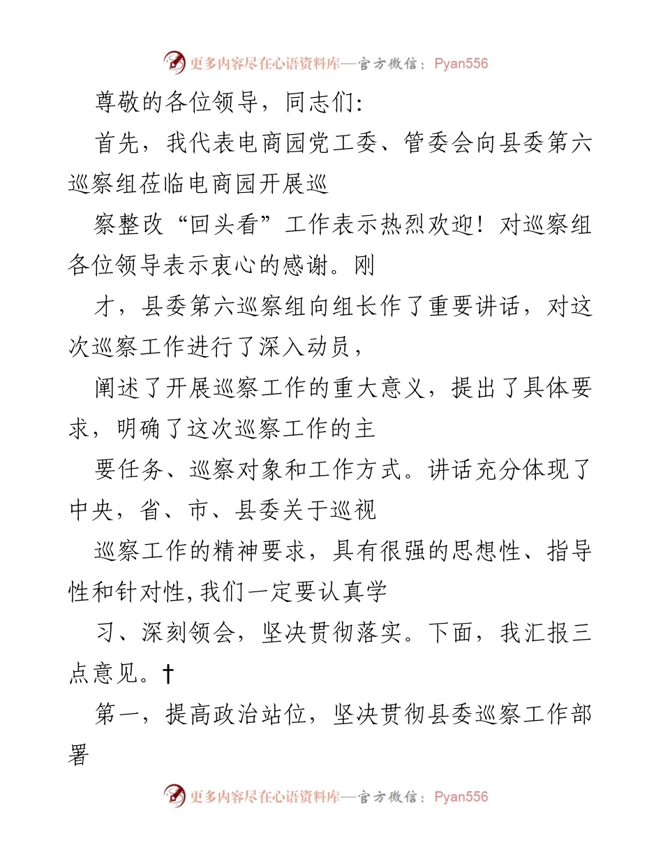 [发言] 电商园对县委第六巡察组巡察整改“回头看”工作的欢迎与支持.docx_第1页