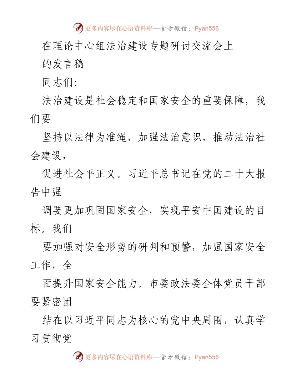 [发言] 理论中心组法治建设专题研讨交流会 - 加强法治建设，提升国家安全能力.docx_第1页
