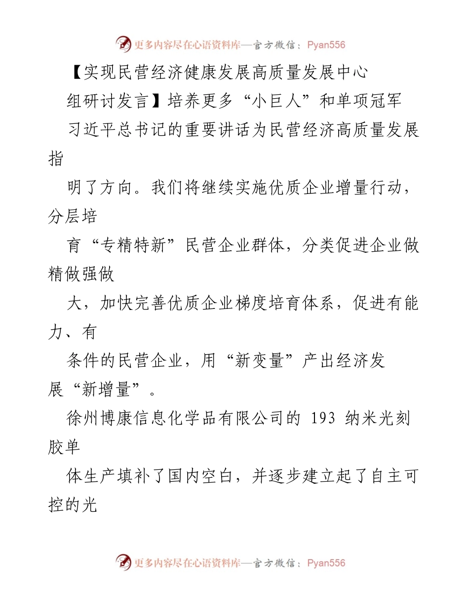 [发言] 研讨会 - 培养民营经济“小巨人”与单项冠军的路径探索.docx_第1页