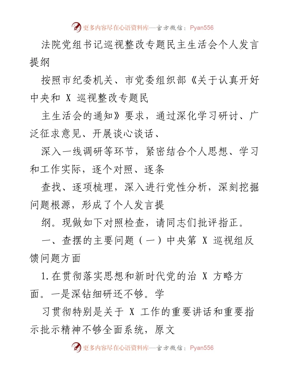 [发言] 法院党组书记巡视整改专题民主生活会 - 深化学习与整改：个人发言提纲分析.docx_第1页