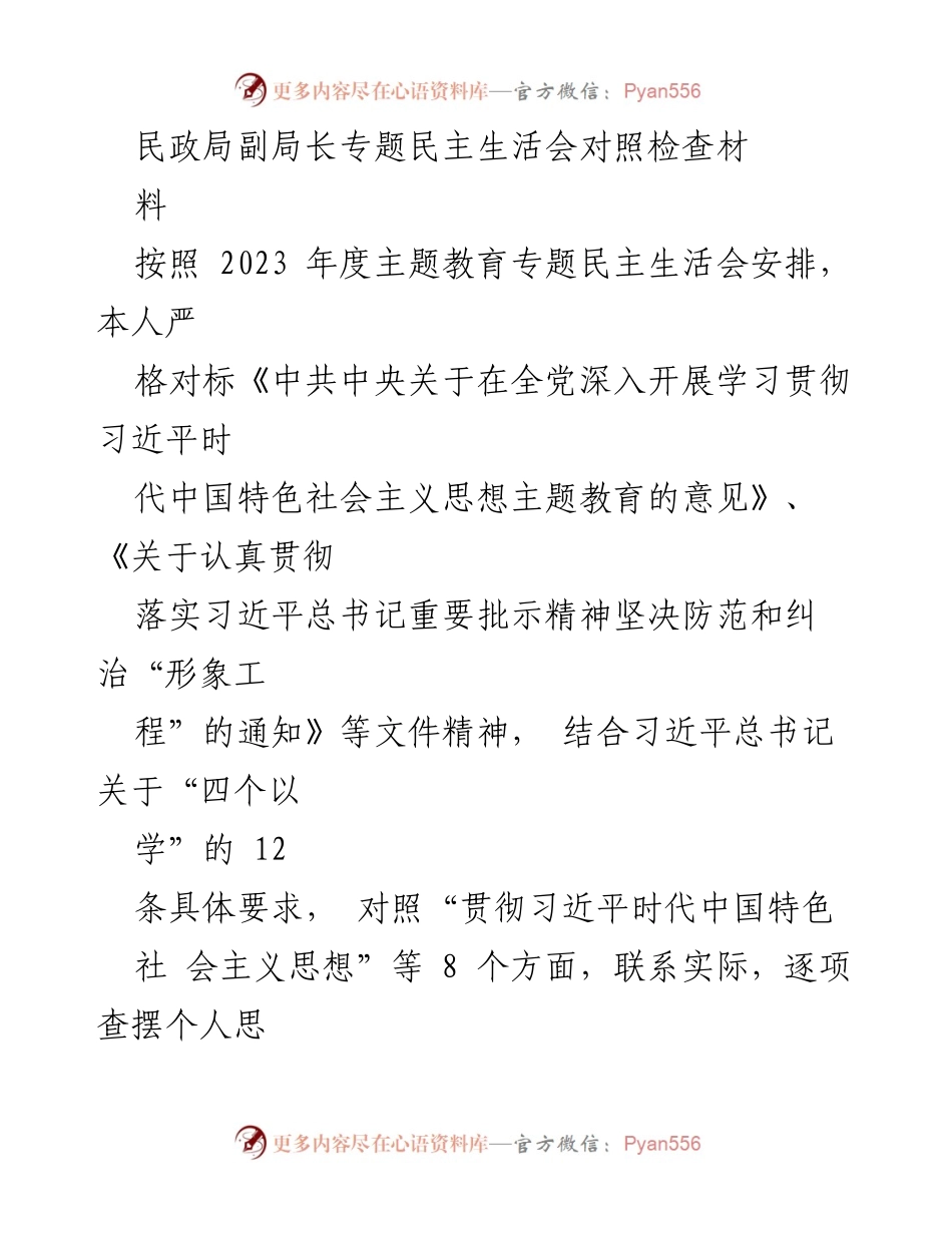 [发言] 民政局专题民主生活会 - 民政局副局长对照检查材料总结与整改措施.docx_第1页