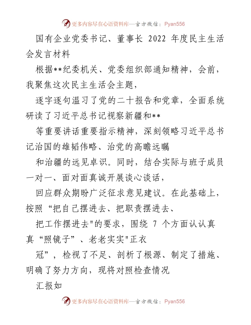 [发言] 民主生活会 - 深入检视与反思：国有企业党委书记年度发言材料.docx_第1页