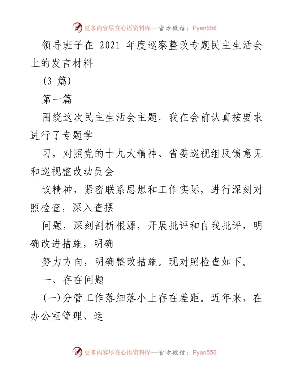[发言] 民主生活会 - 领导班子巡察整改发言材料分析.docx_第1页