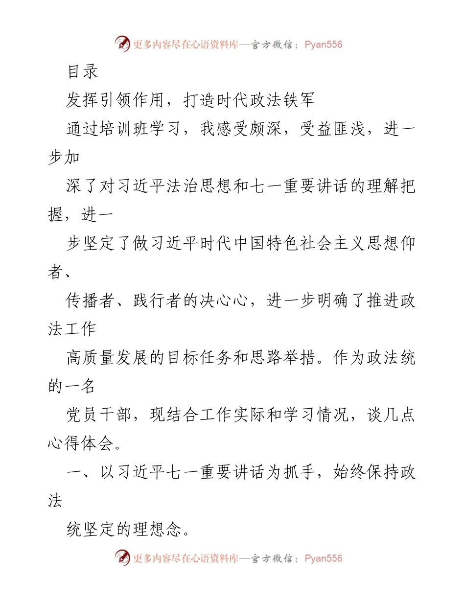 [发言] 深入学习习近平法治思想，推动政法工作高质量发展心得体会.docx_第1页