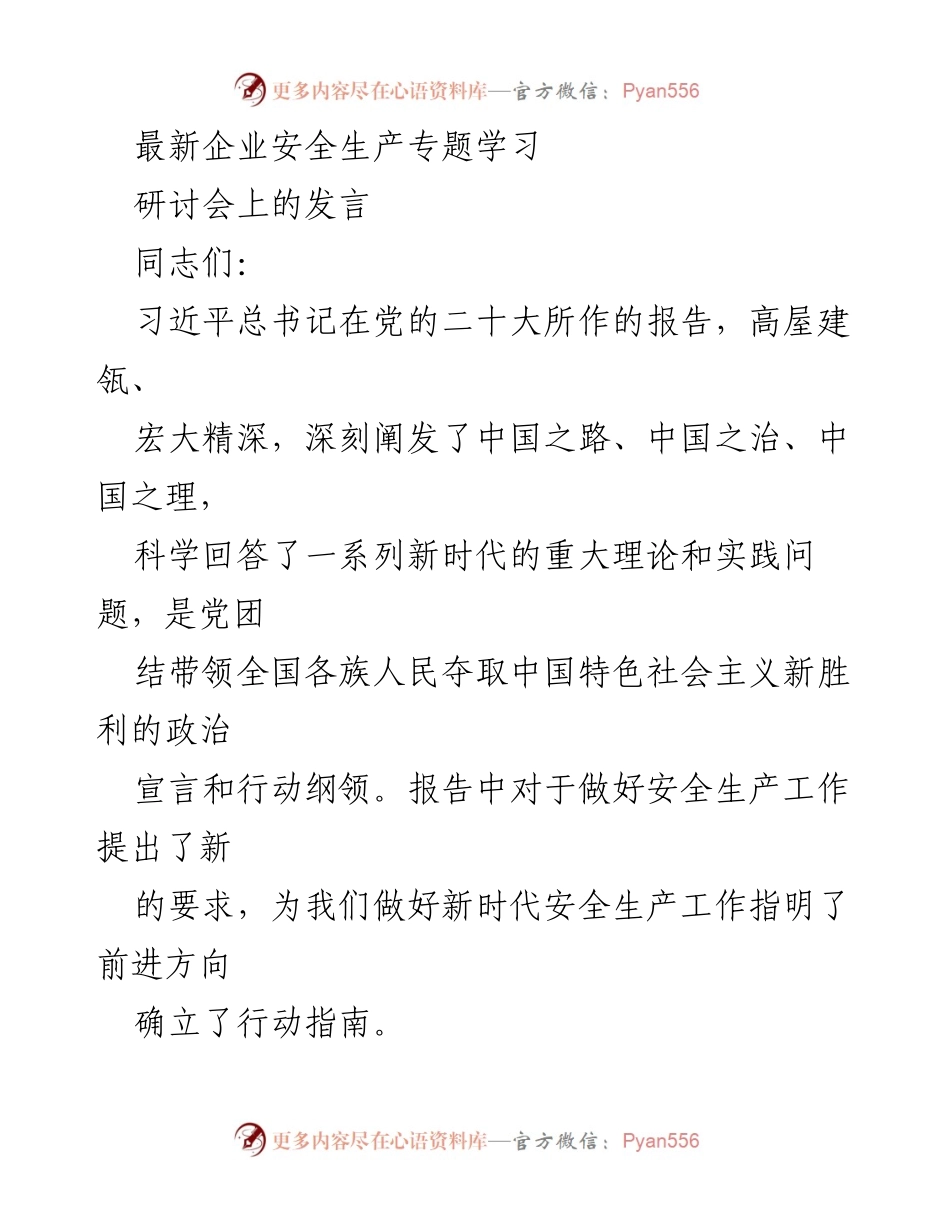 [发言] 研讨会 - 深入学习贯彻党的二十大精神，推动安全生产工作新发展.docx_第1页