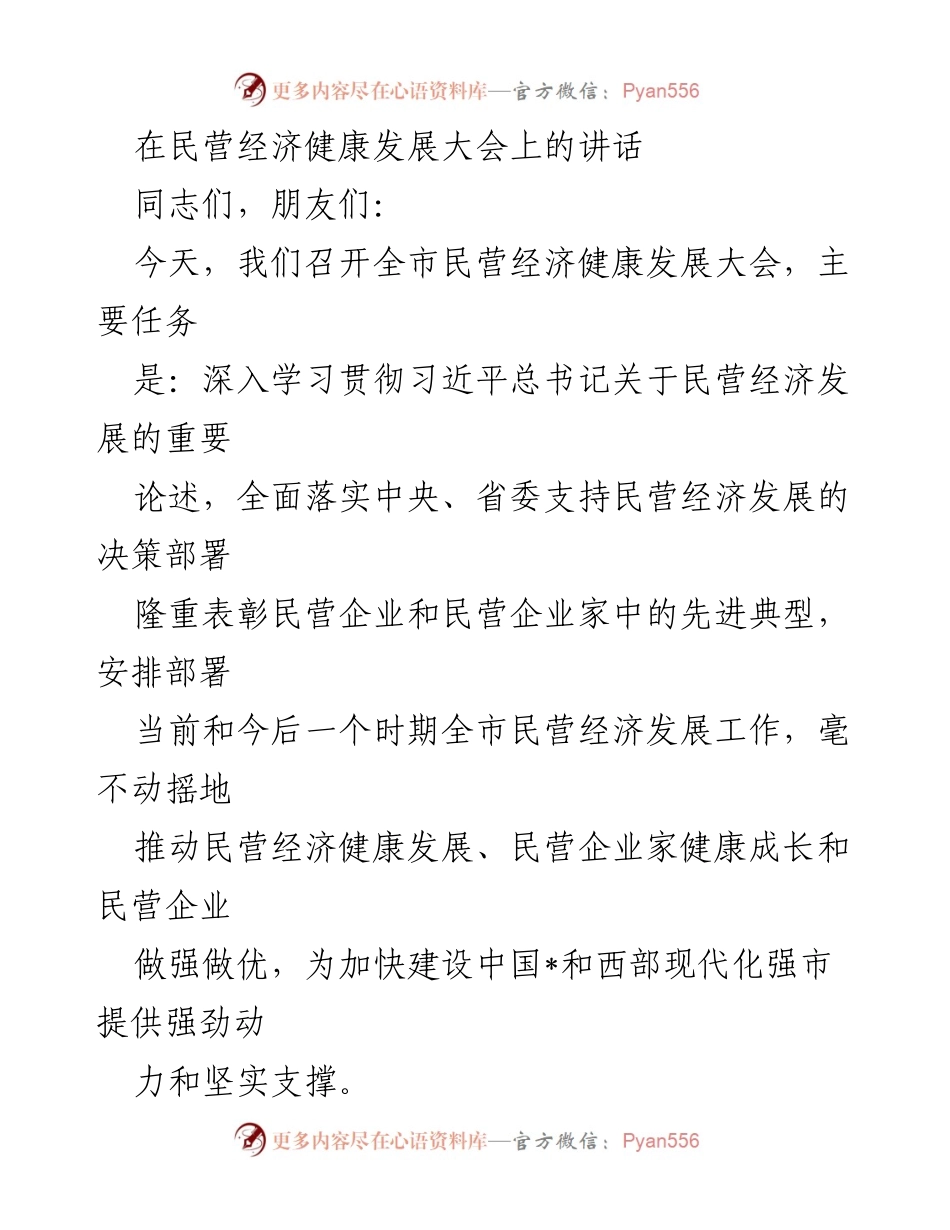 [发言] 民营经济健康发展大会 - 加快推动民营经济健康发展的决心与举措.docx_第1页