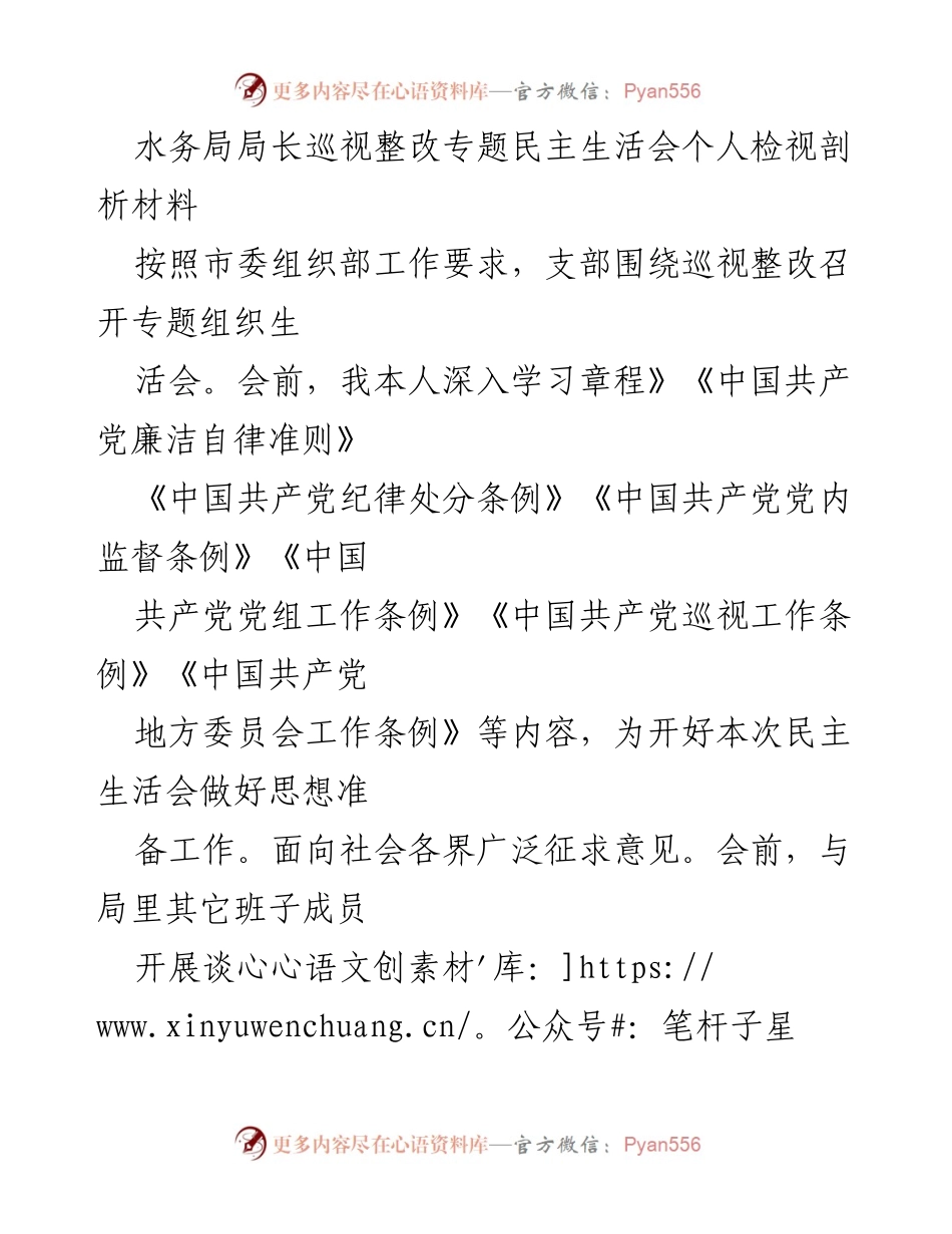 [发言] 水务局局长巡视整改专题民主生活会 - 水务局长个人检视与整改措施分析.docx_第1页