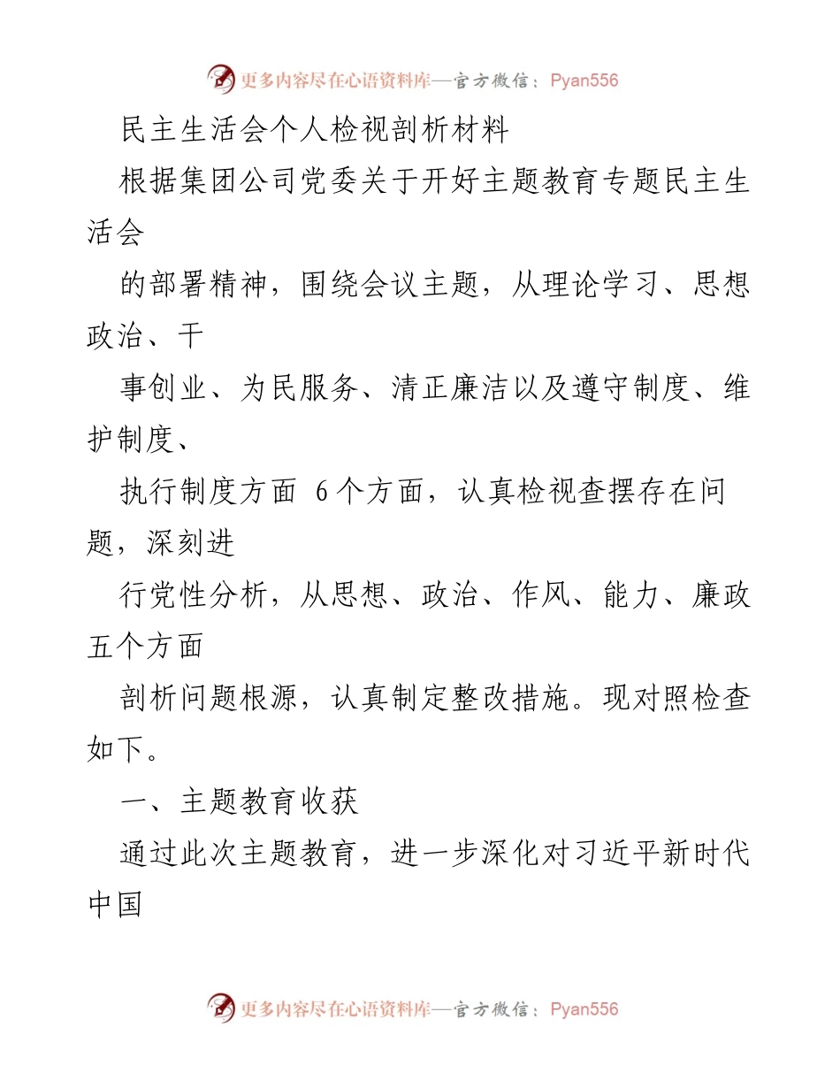 [发言] 民主生活会 - 深刻剖析与整改措施的个人检视报告.docx_第1页