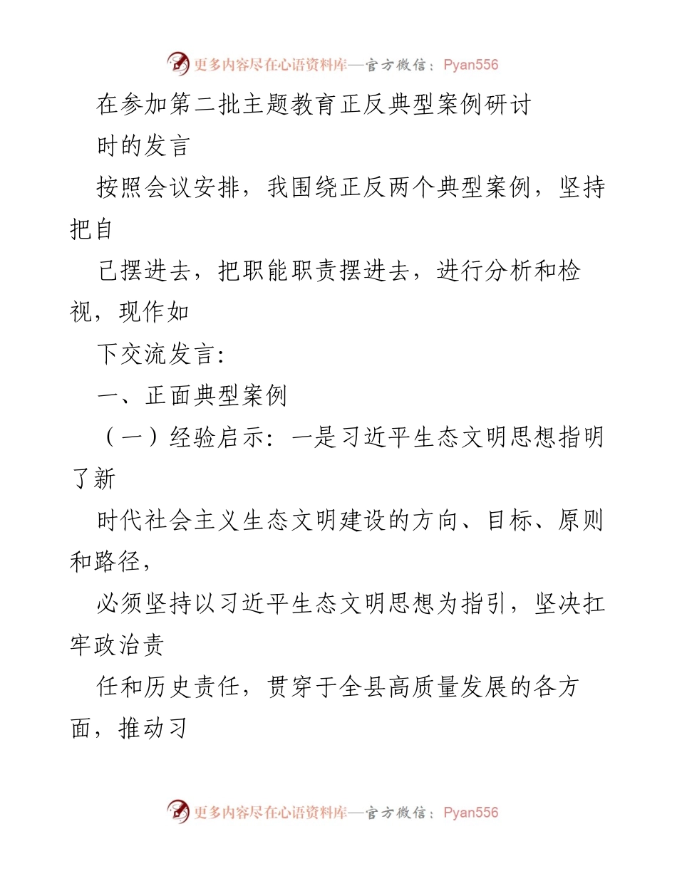 [发言] 研讨会 - 深入分析正反典型案例，推动生态文明建设与高质量发展.docx_第1页