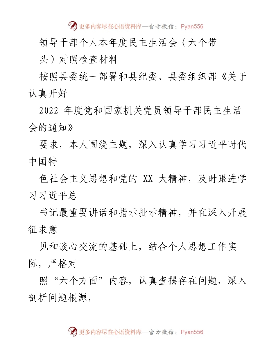 [发言] 民主生活会 - 领导干部年度对照检查材料总结.docx_第1页