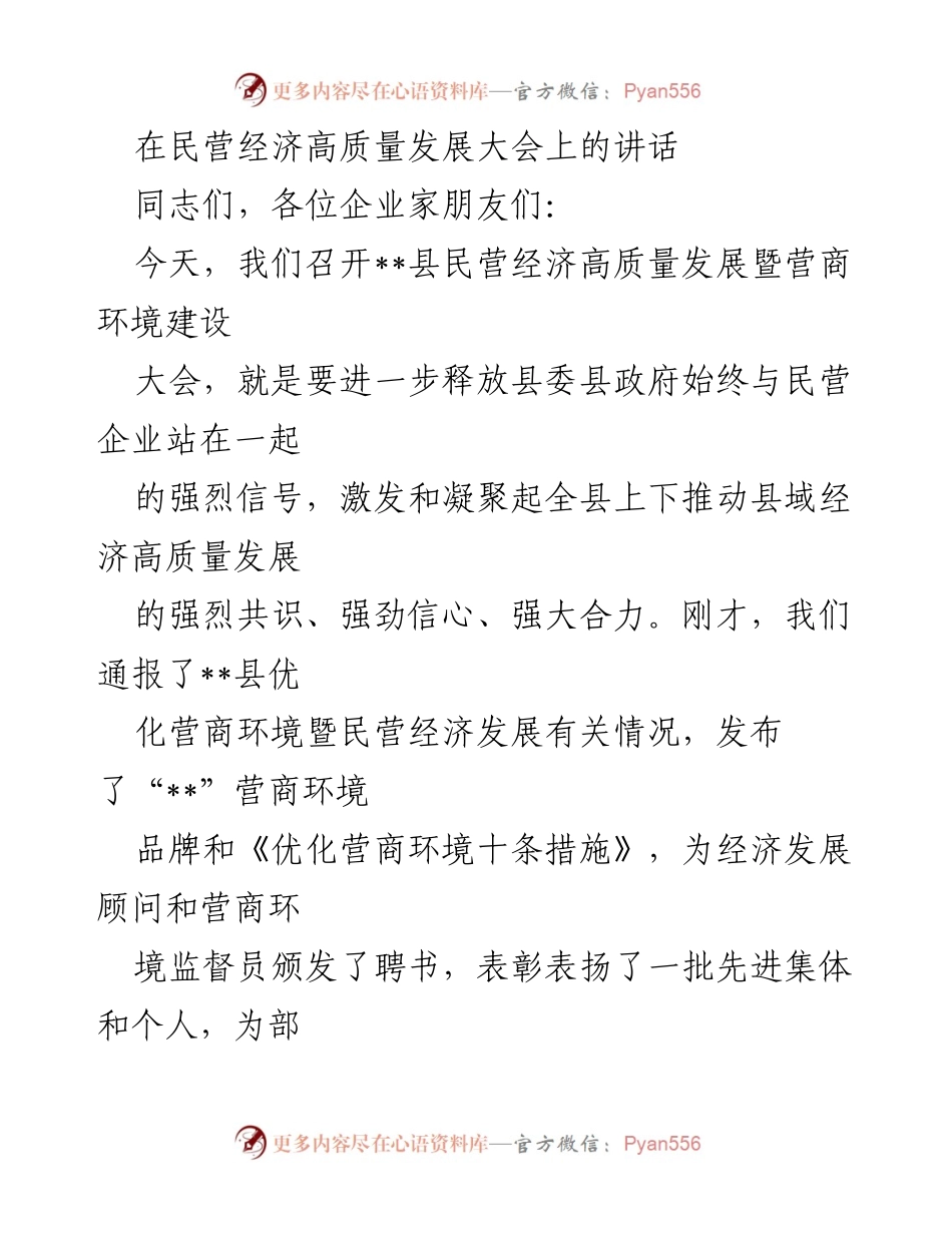 [发言] 民营经济高质量发展大会 - 推动民营经济高质量发展的信心与责任.docx_第1页