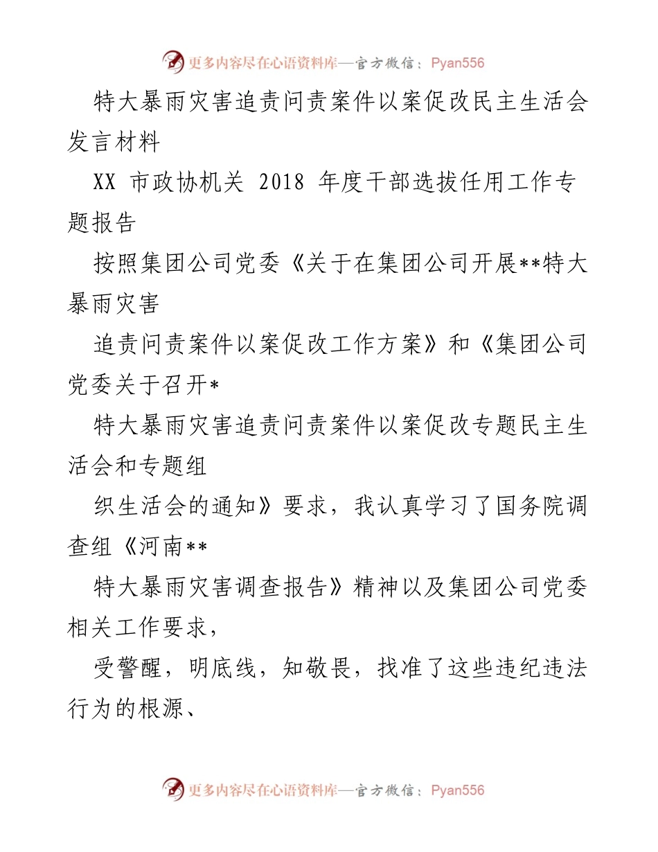 [发言] 民主生活会 - 特大暴雨灾害追责问责案件以案促改发言材料.docx_第1页