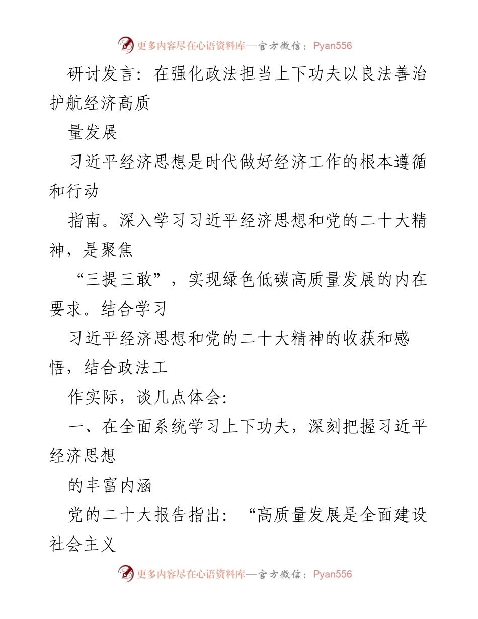 [发言] 研讨会 - 强化政法担当，护航经济高质量发展.docx_第1页