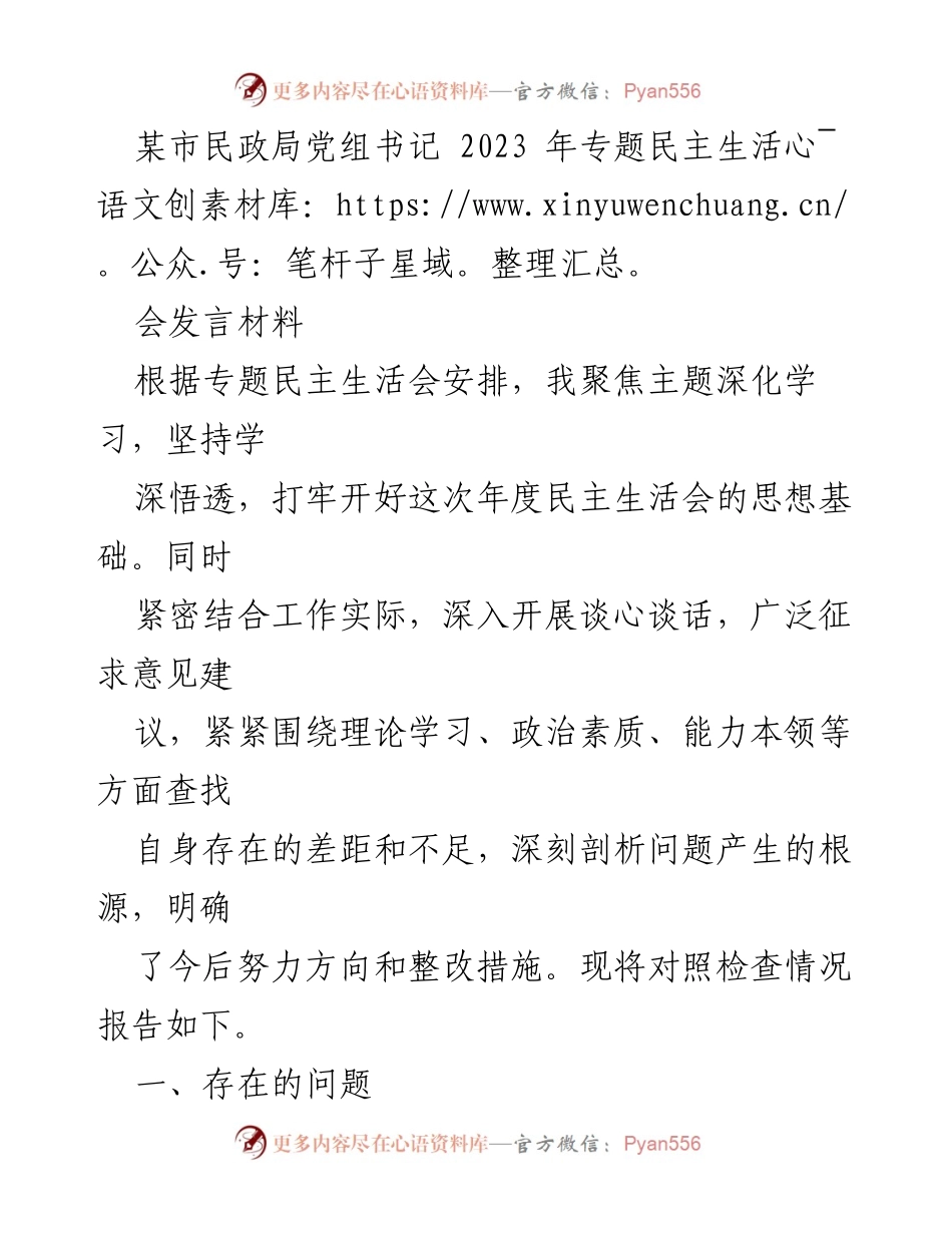 [发言] 民政局专题民主生活会 - 深化学习与自我反思：某市民政局党组书记的年度检查报告.docx_第1页