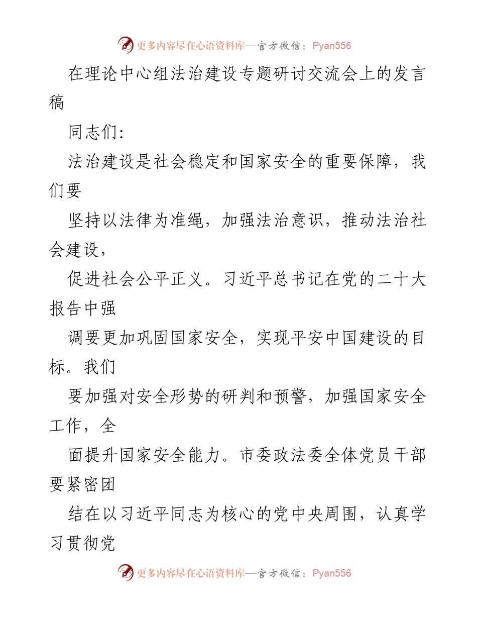 [发言] 理论中心组法治建设专题研讨交流会 - 推动法治建设与国家安全的有效措施.docx_第1页