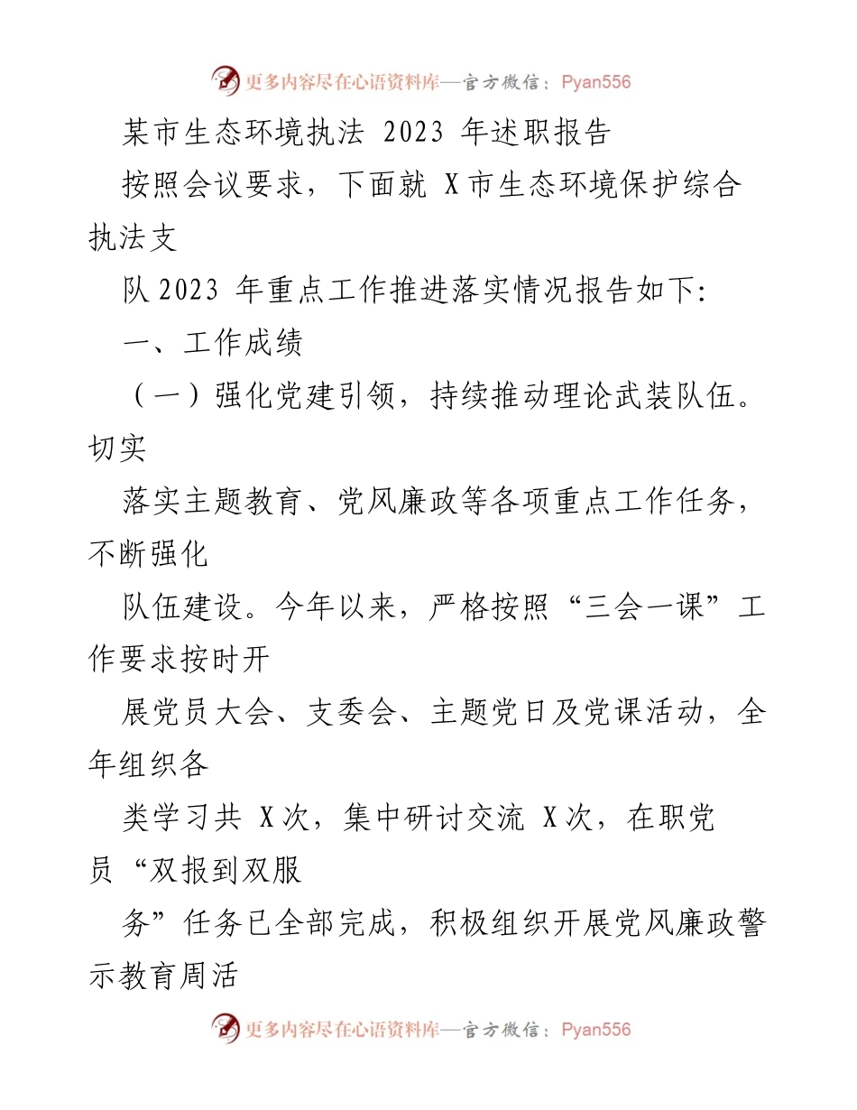 [发言] 生态环境执法工作总结 - 2023年X市生态环境执法工作述职报告.docx_第1页