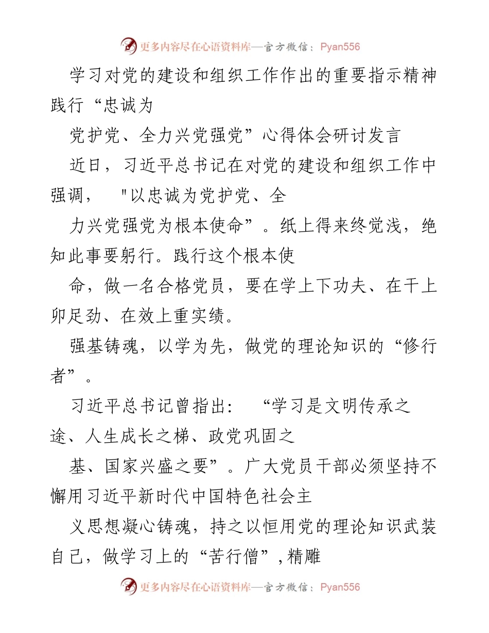 [发言] 研讨会 - 实干兴党，铸魂强党：践行习近平总书记重要指示精神心得体会.docx_第1页