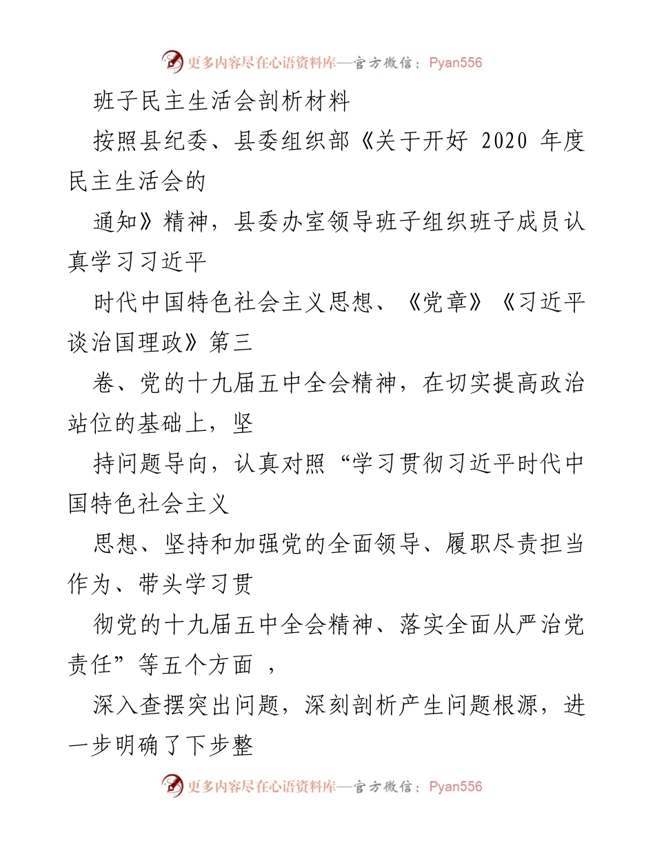 [发言] 民主生活会 - 班子民主生活会问题剖析与整改措施.docx_第1页