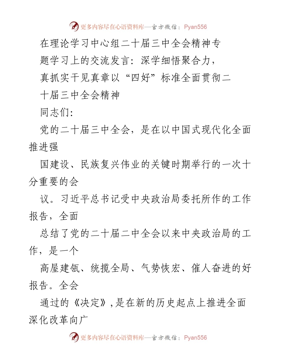 [发言] 理论学习中心组 - 深学细悟聚合力，真抓实干见真章以“四好”标准全面贯彻二十届三中全会精神.docx_第1页