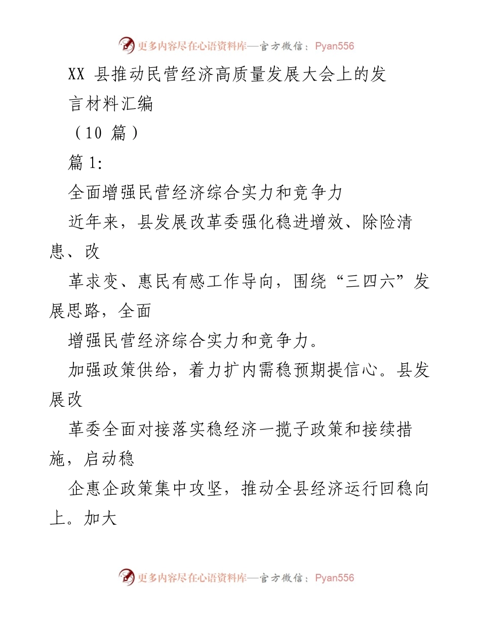 [发言] 民营经济高质量发展大会 - 推动民营经济高质量发展的策略与实践.docx_第1页