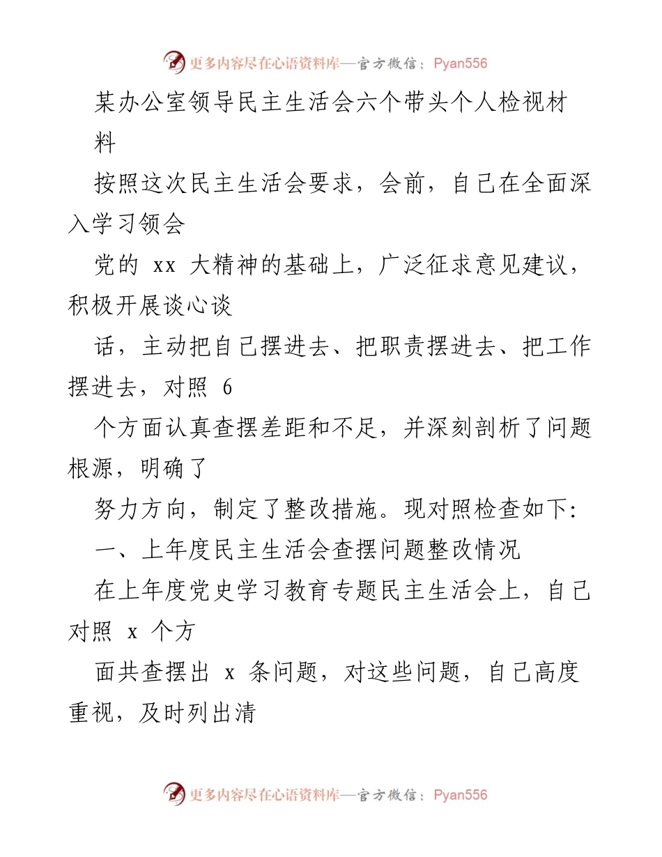 [发言] 民主生活会 - 领导个人检视材料总结.docx_第1页