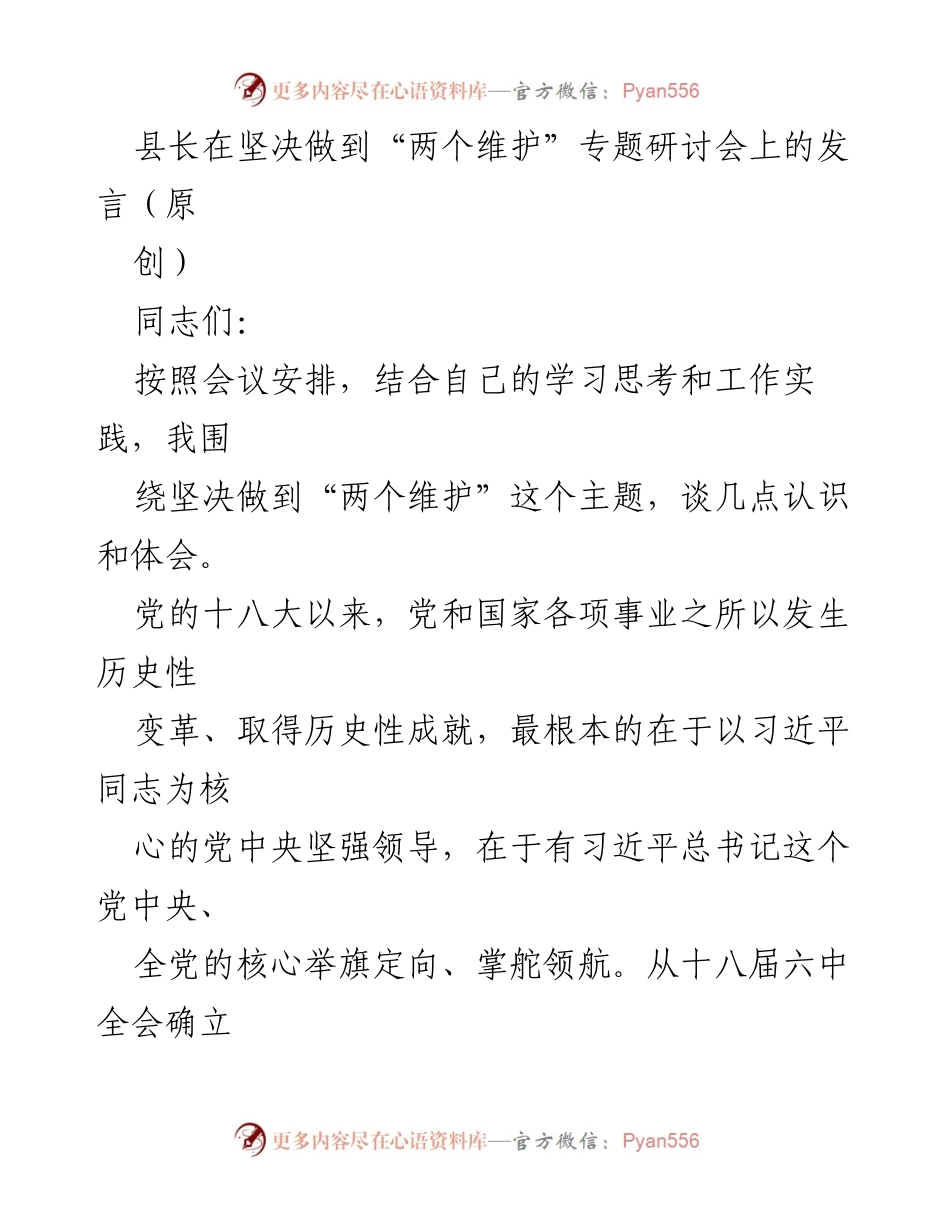[发言] 研讨会 - 坚决做到“两个维护”的重要性与实践路径.docx_第1页
