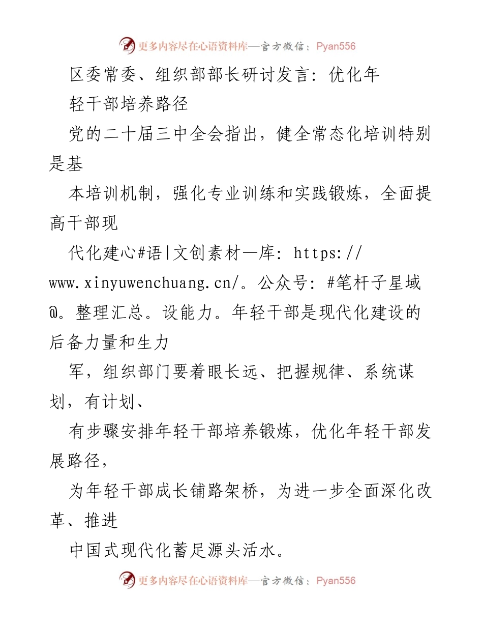 [发言] 研讨会 - 优化年轻干部培养路径的战略思考.docx_第1页