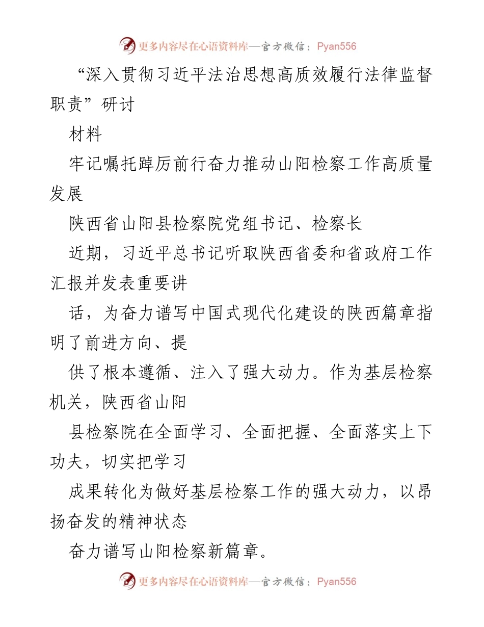 [发言] 研讨会 - 深入贯彻习近平法治思想，推动山阳检察高质量发展.docx_第1页