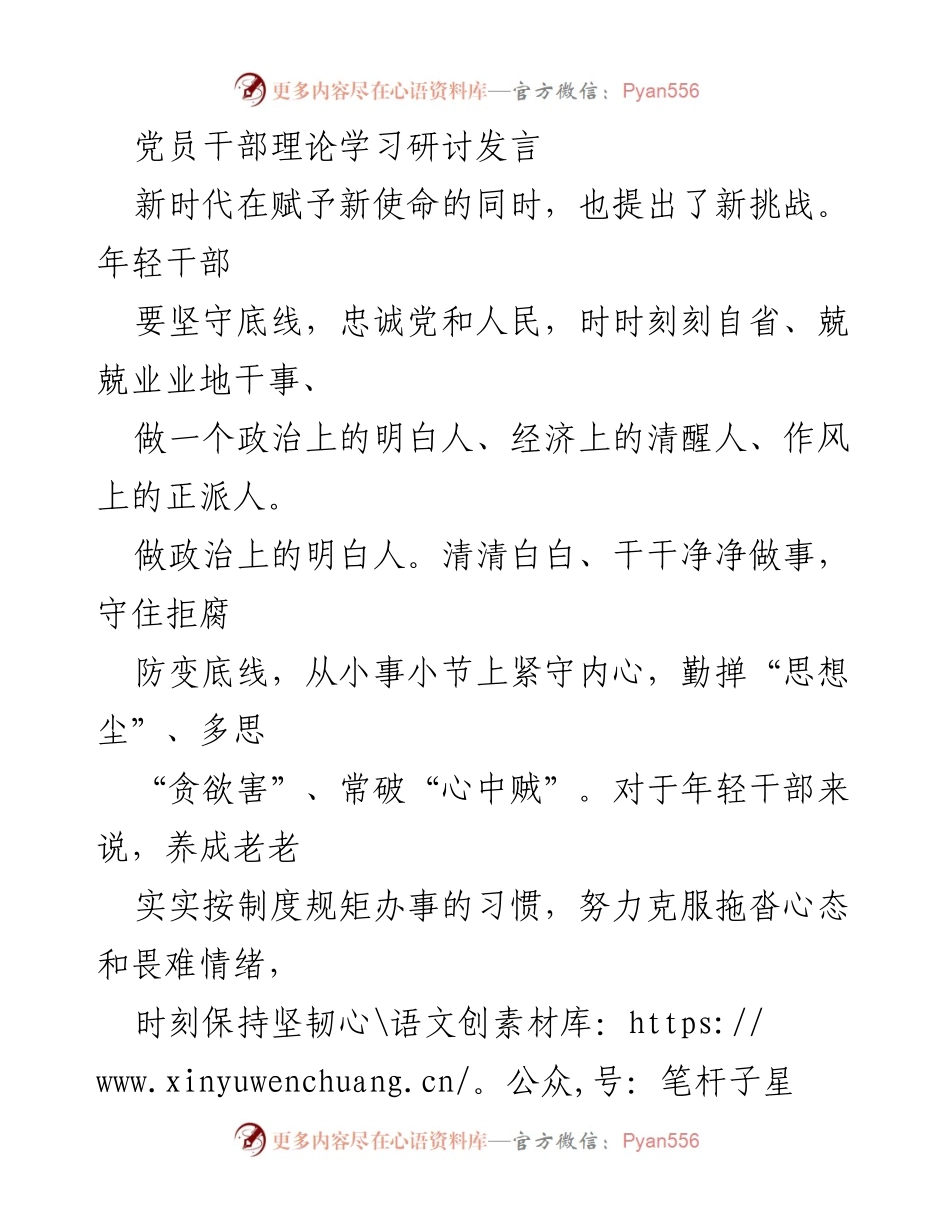 [发言] 理论学习研讨 - 年轻干部的使命与挑战：坚守底线，提升能力.docx_第1页