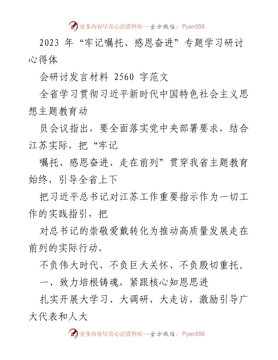 [发言] 研讨会 - 牢记嘱托、感恩奋进：推动高质量发展的实践路径.docx_第1页