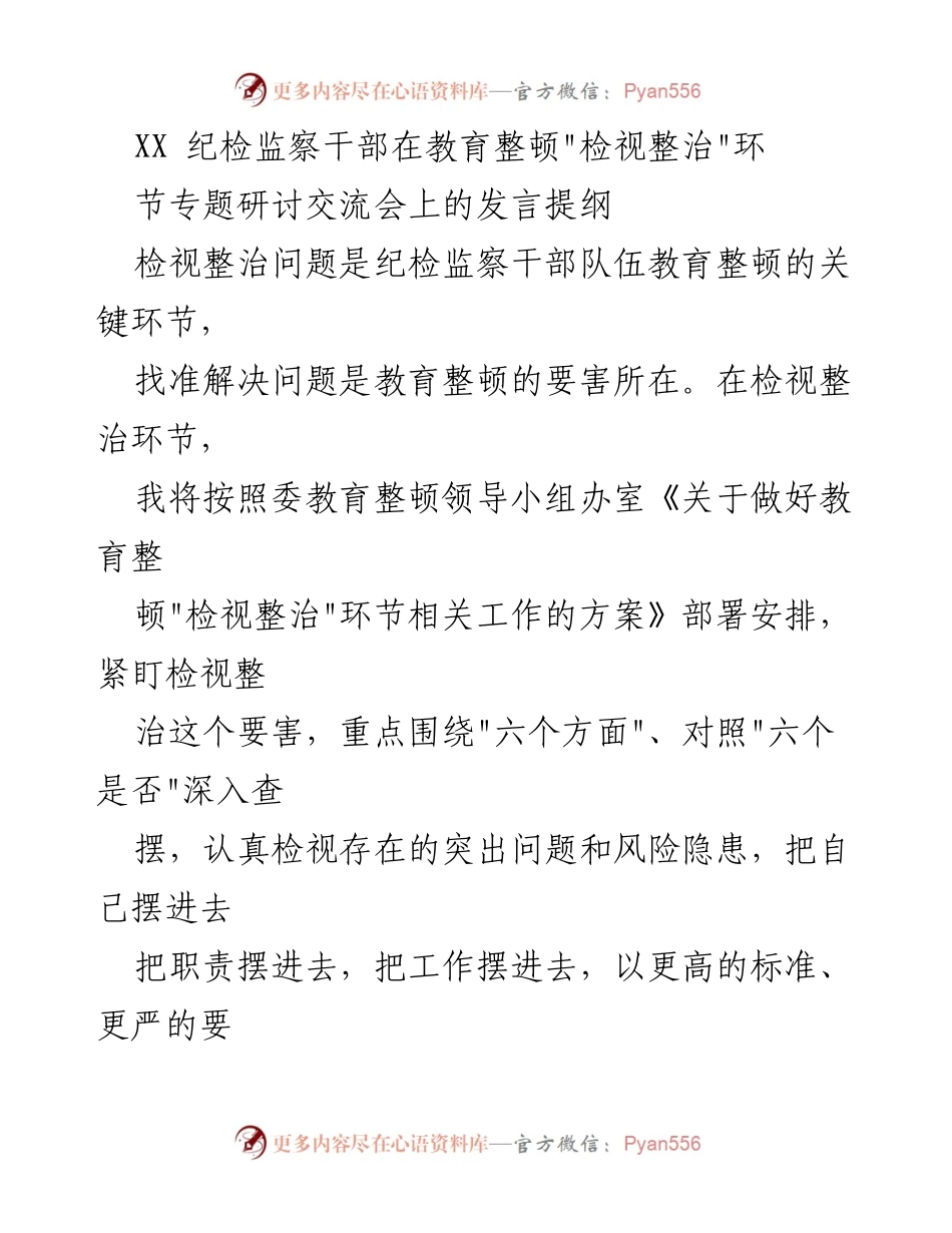 [发言] 研讨交流会 - 深入检视整治，提升纪检监察干部素质与能力.docx_第1页