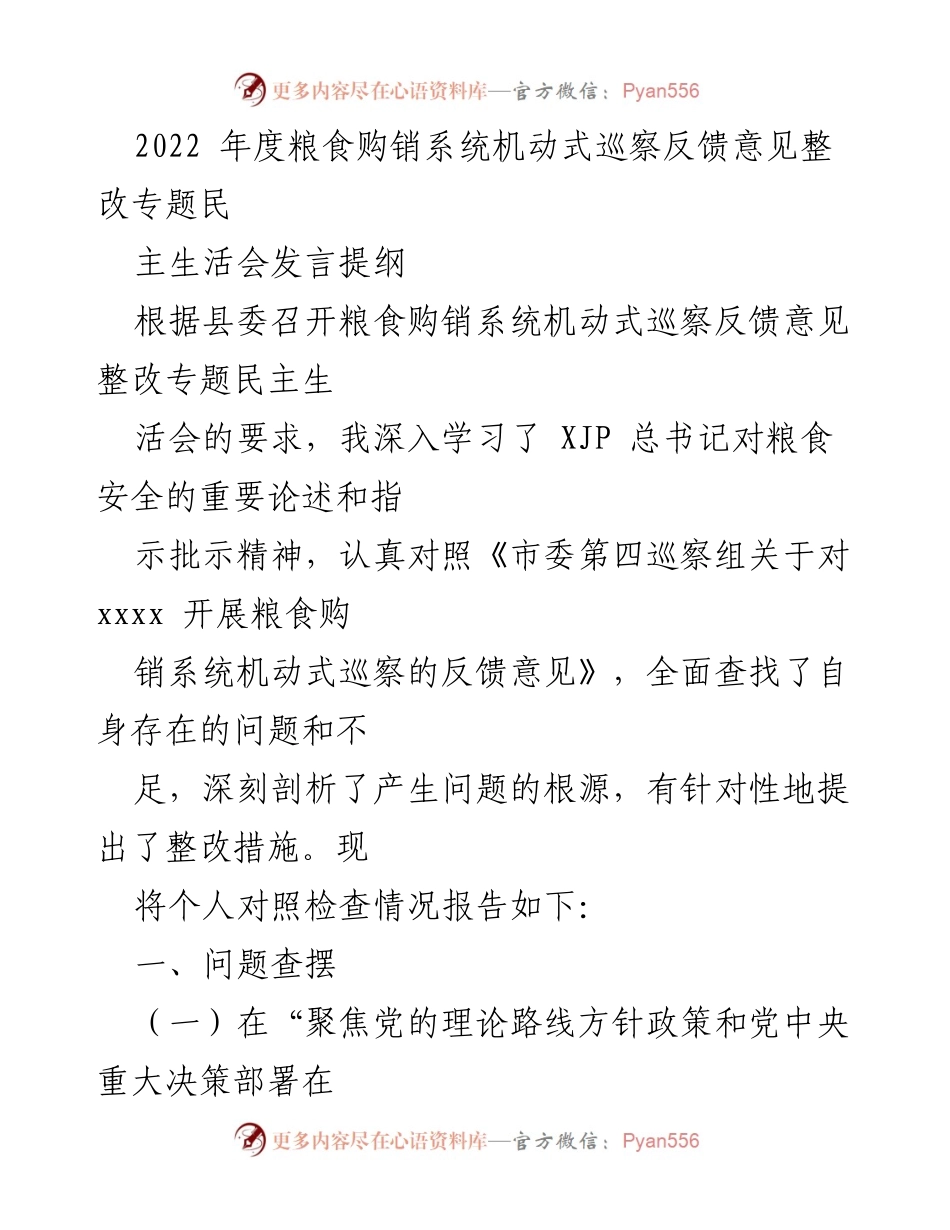 [发言] 民主生活会 - 粮食购销系统整改反馈意见发言提纲.docx_第1页