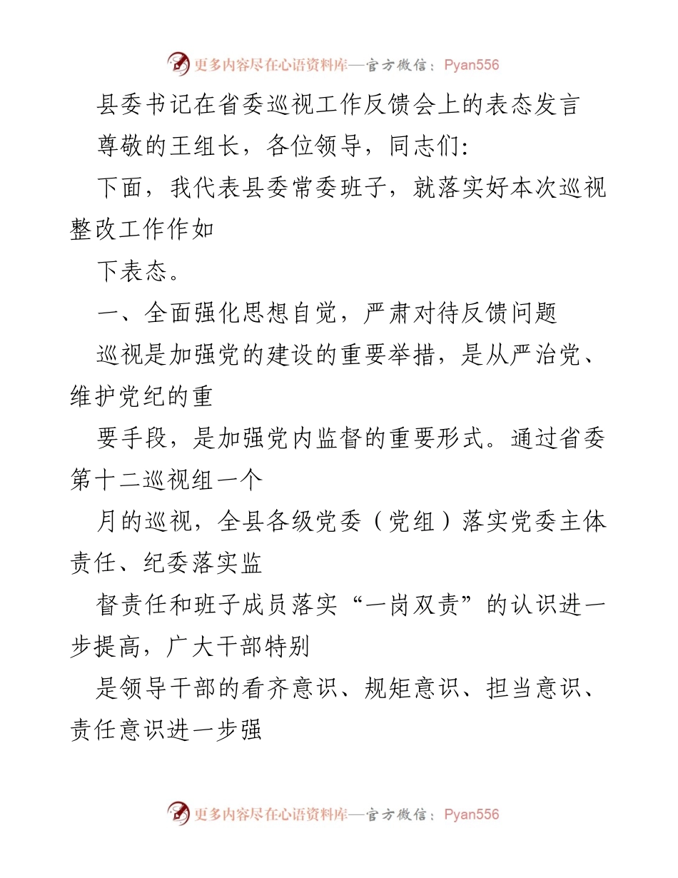 [发言] 省委巡视工作反馈会 - 县委书记表态发言：落实巡视整改，强化责任担当.docx_第1页